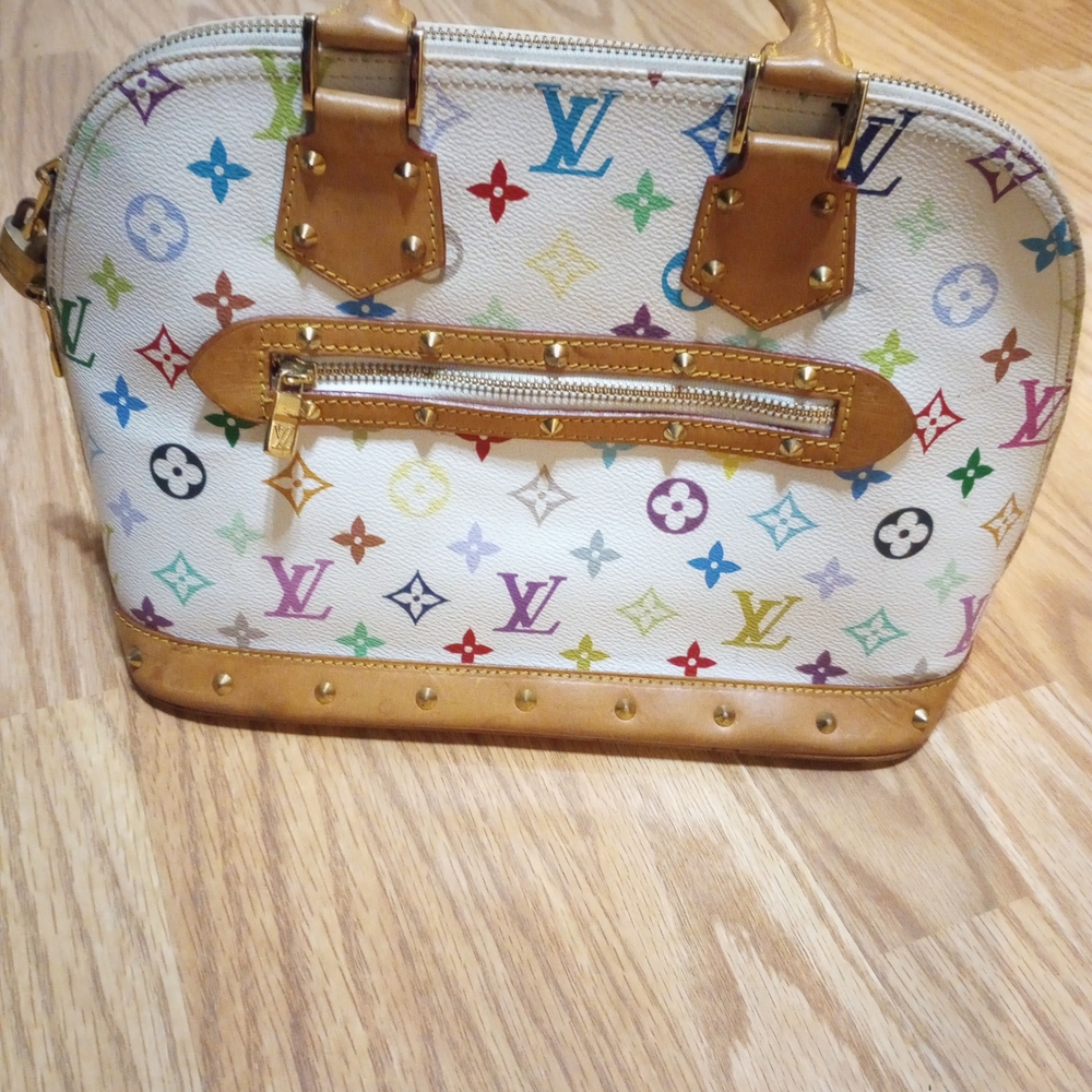Louis Vuitton Multicolor Monogram Bag